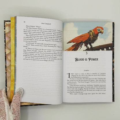 Airship Dragons Collector's Edition Hardcovers Bundle (Books 1-2 + Prequel Novella)