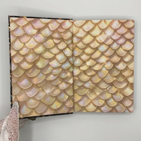 Dragon Meridians Special Edition (Airship Dragons Book 2)