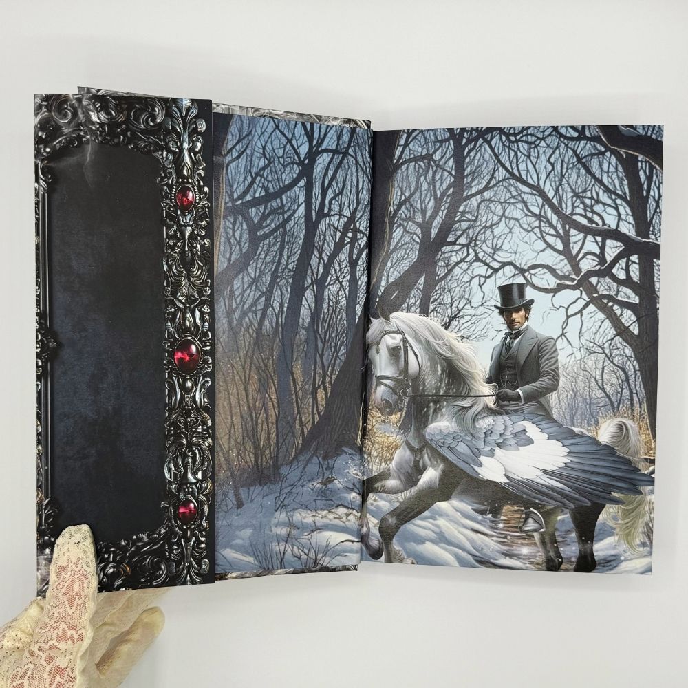 Outlaw Mages Collector's Hardcover Bundle (Books 1-6)