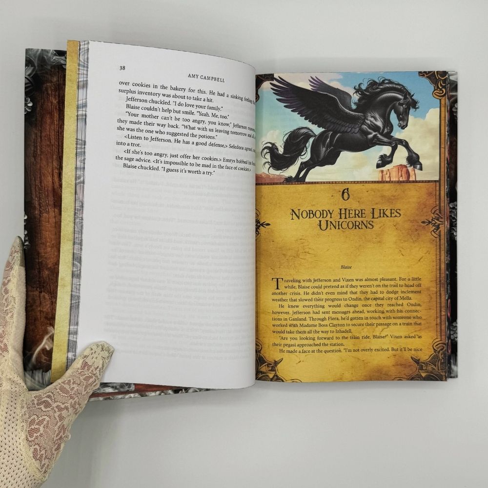 Persuader Special Edition Hardcover (Tales of the Outlaw Mages Book 4)