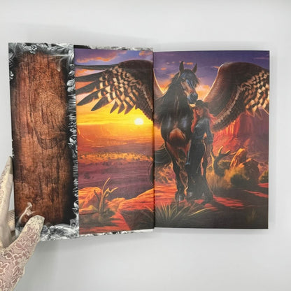 Outlaw Mages Collector's Hardcover Bundle (Books 1-6)