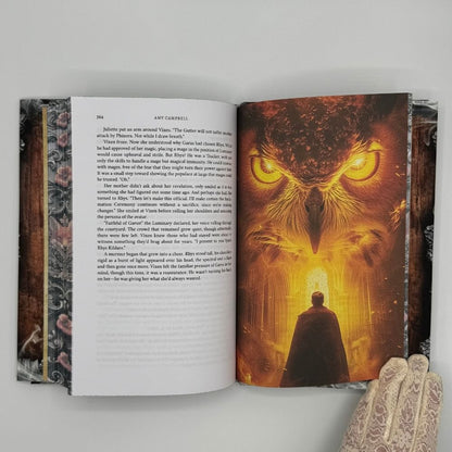 Persuader Special Edition Hardcover (Tales of the Outlaw Mages Book 4)