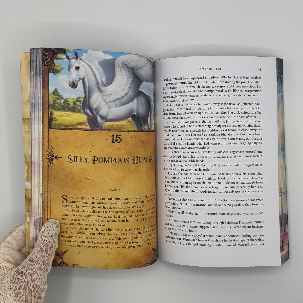 Outlaw Mages Collector's Paperback Set (Books 1-6)